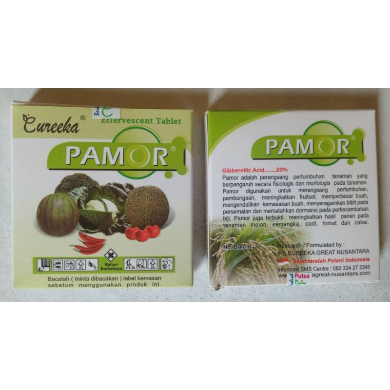 PAMOR tablet ZPT Ga3