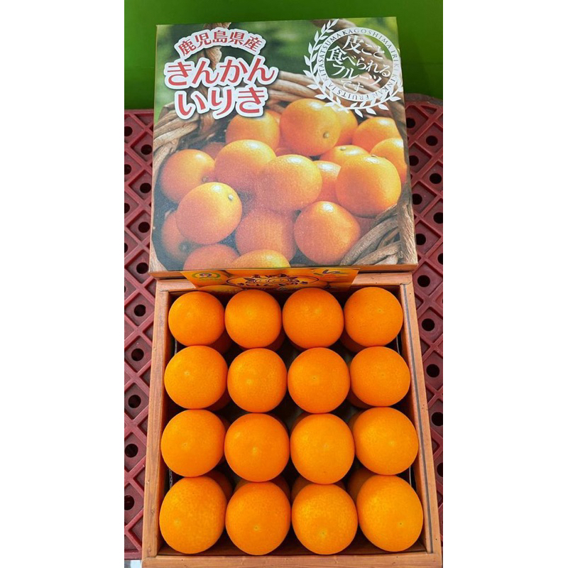 

KINKAN JEPAN HIGH QUALITY