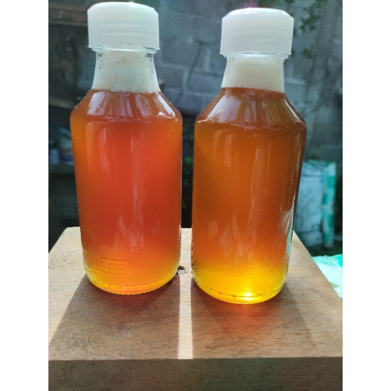 

madu Klanceng asli murni liar hasil belah bambu