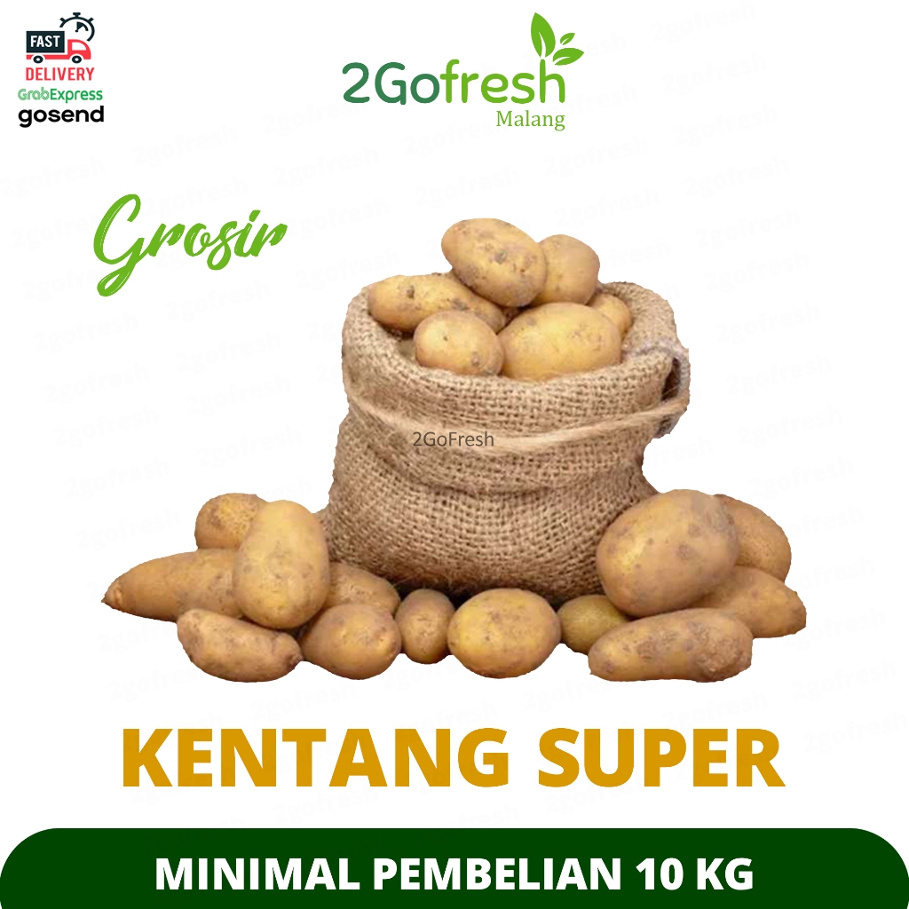 

Khusus Grosir Kentang Super