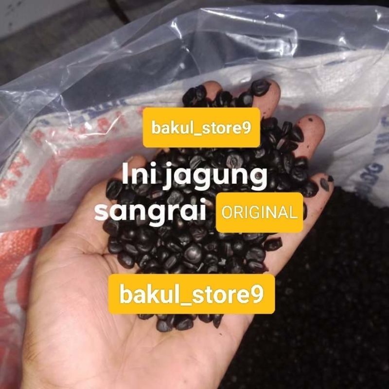 

KOPI JAGUNG SANGRAI / ROASTING ORIGINAL KILOAN / 1 KG SOLUSI BUAT NGOPI TANPA TAKUT KAFEIN BISA JUGA UNTUK CAMPURAN KOPI BUBUK UNTUK MENURUNKAN HPP PRODUKSI