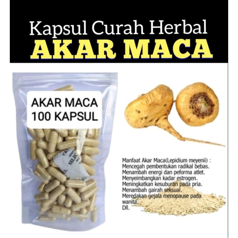 AKAR MACA 100 kapsul  Curah Herbal