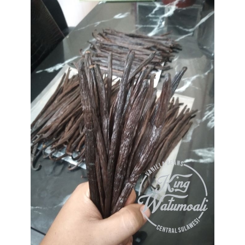 

VANILLA BEANS/ VANILI KERING PLANIFOLIA GRADE B 1000gr, 16CM UP