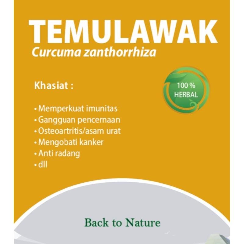 

An-Nashr Temu Lawak Serbuk 50 Gram Original Pencernaan, Liver Dan Asam Urat Herbal Kualitas Premium | Curcuma Zanthorriza