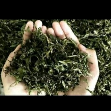 

daun kenikir kering ,daun herbal kaya manfaat 100 gram