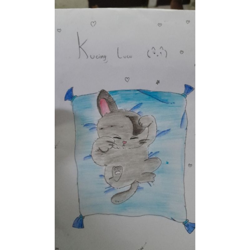 GAMBAR KUCING LUCU
