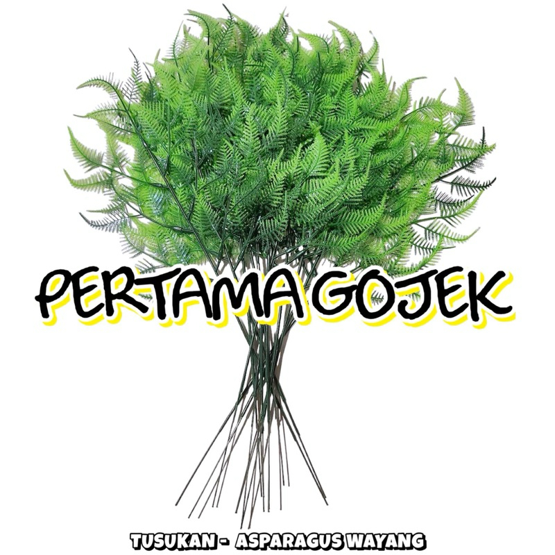 Daun Tancap Asparagus Wayang/ Daun Dekorasi/ Bunga Dekorasi/ Tanaman Dekorasi/ Hiasan Dekorasi/ Wedd