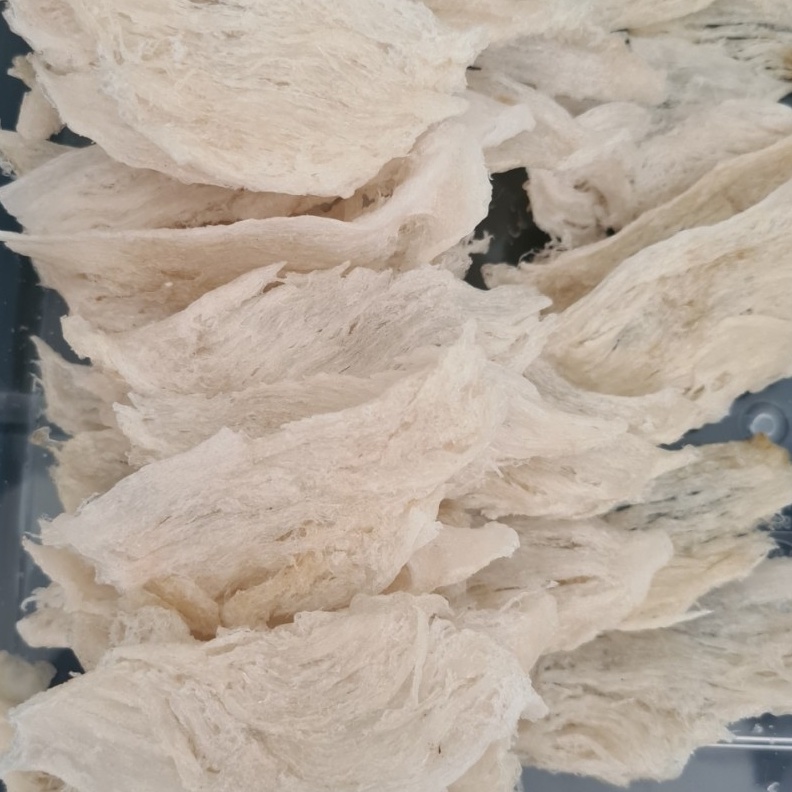 

HXTX5135 Jangan Sampai Kehabisan Sarang Burung Walet Birdnest Bersih Patahan Besar Sedang Kecil Natural Asli Yenwo Harga Per Gram