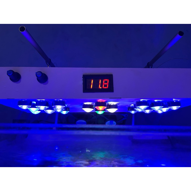Lampu Reef Tank