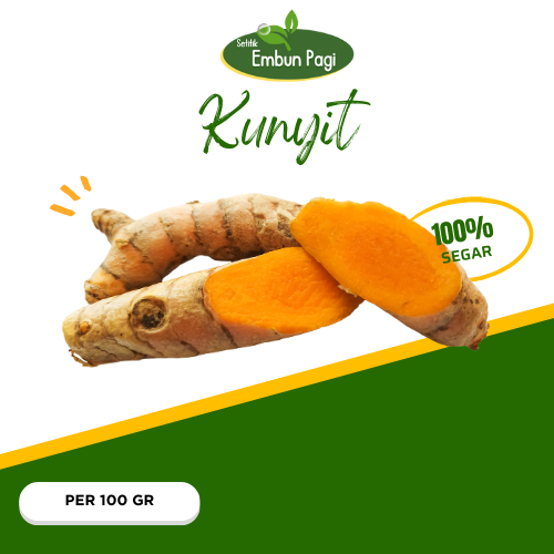

Kunyit Segar 100 gr