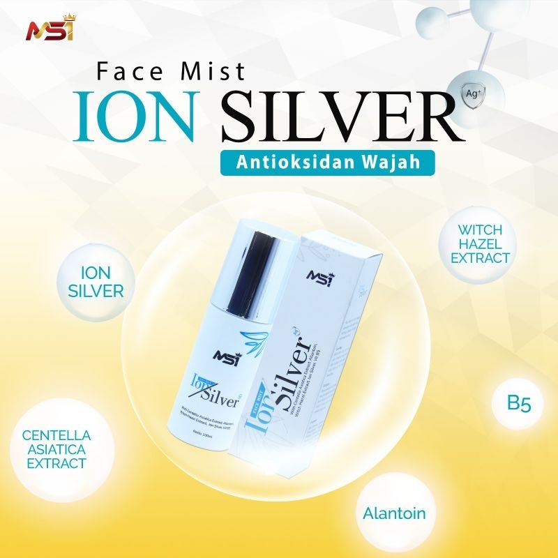 ION Silver MSI