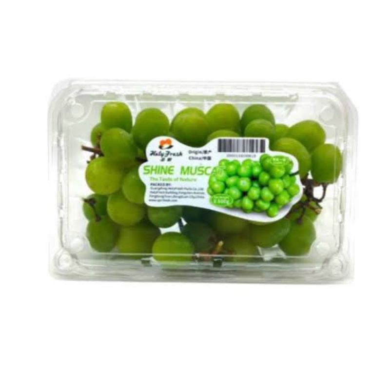 

Anggur Hijau Shine Muscat Seedless 1 pack