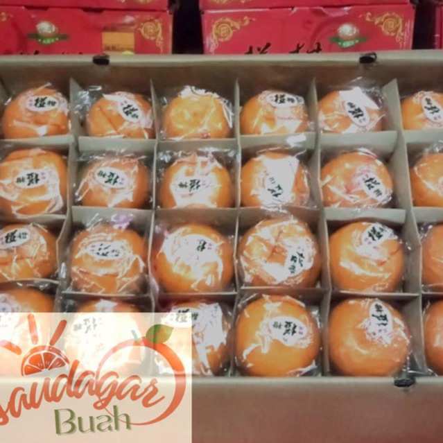 

BUAH JERUK PONKAM HDL JUMBO SIZE 70 15KG GROSIR