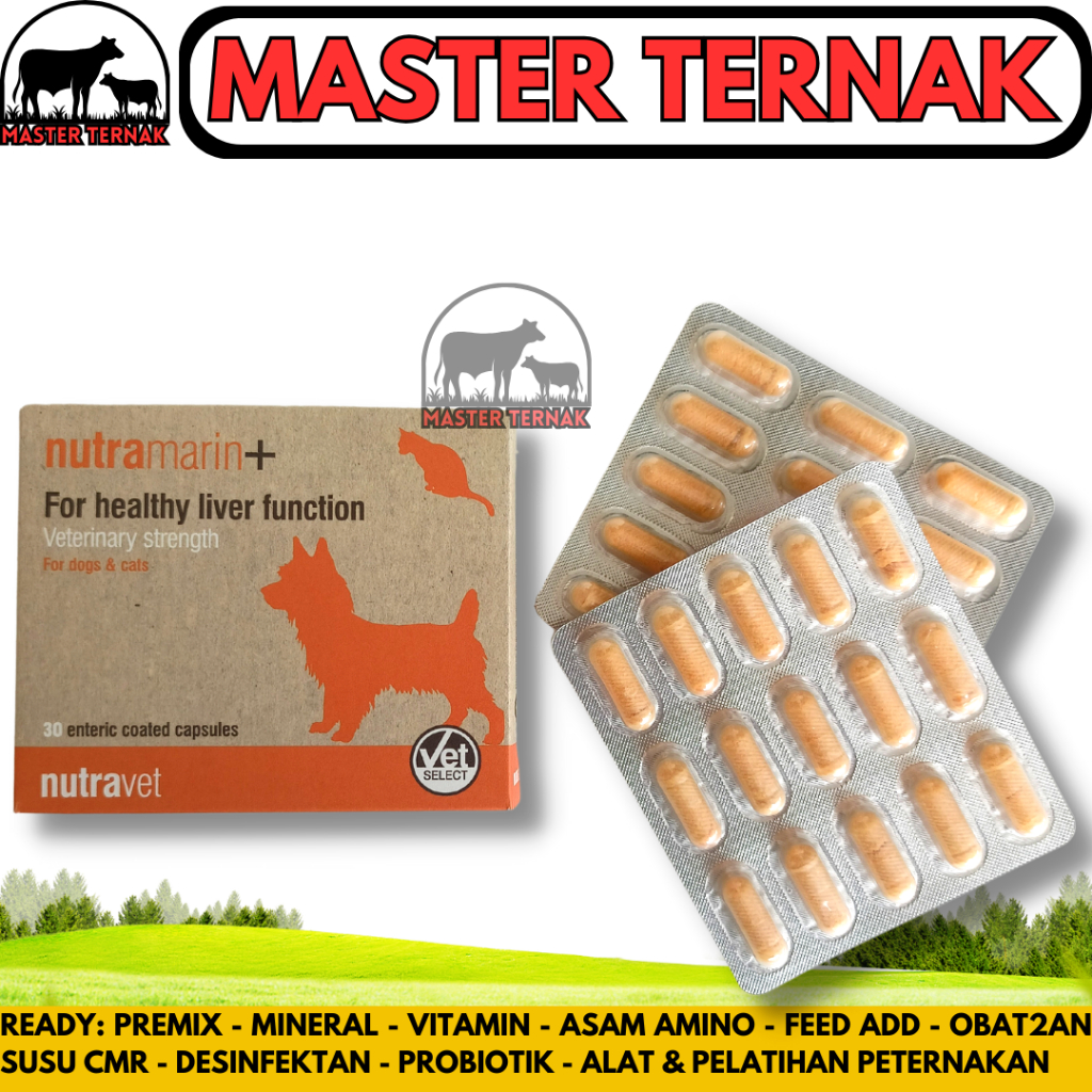 NUTRAMARIN PLUS 1 KAPSUL - Obat Gangguan Liver Hati untuk Kucing & Anjing / Pengganti Samylin & Zent