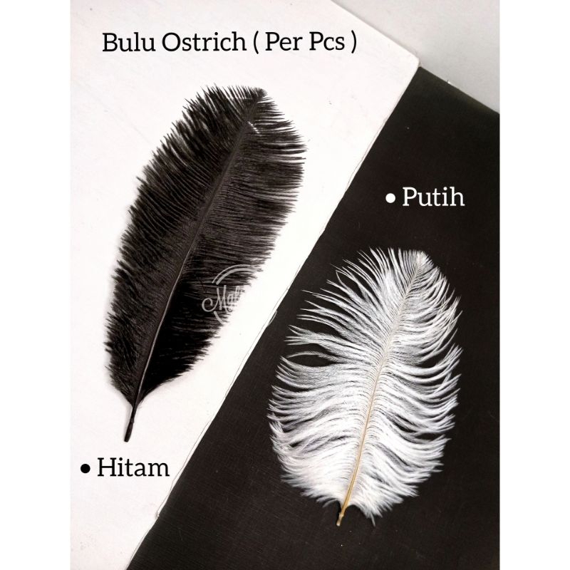 Bulu Burung Ostrich Feather Hiasan Pena Mahar Seserahan Diy White Natural 20-25cm Wedding DIY