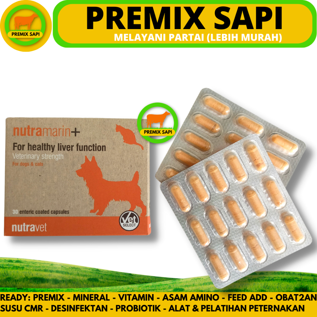 NUTRAMARIN PLUS 1 KAPSUL - Obat Gangguan Liver Hati untuk Kucing & Anjing / Pengganti Samylin & Zent