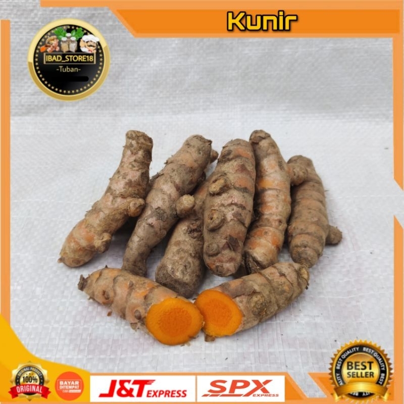 

Kunyit 250gr / Bumbu Masak Dapur