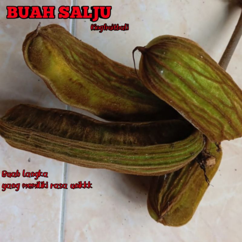 

Paling Murahh Buah salju 1kg