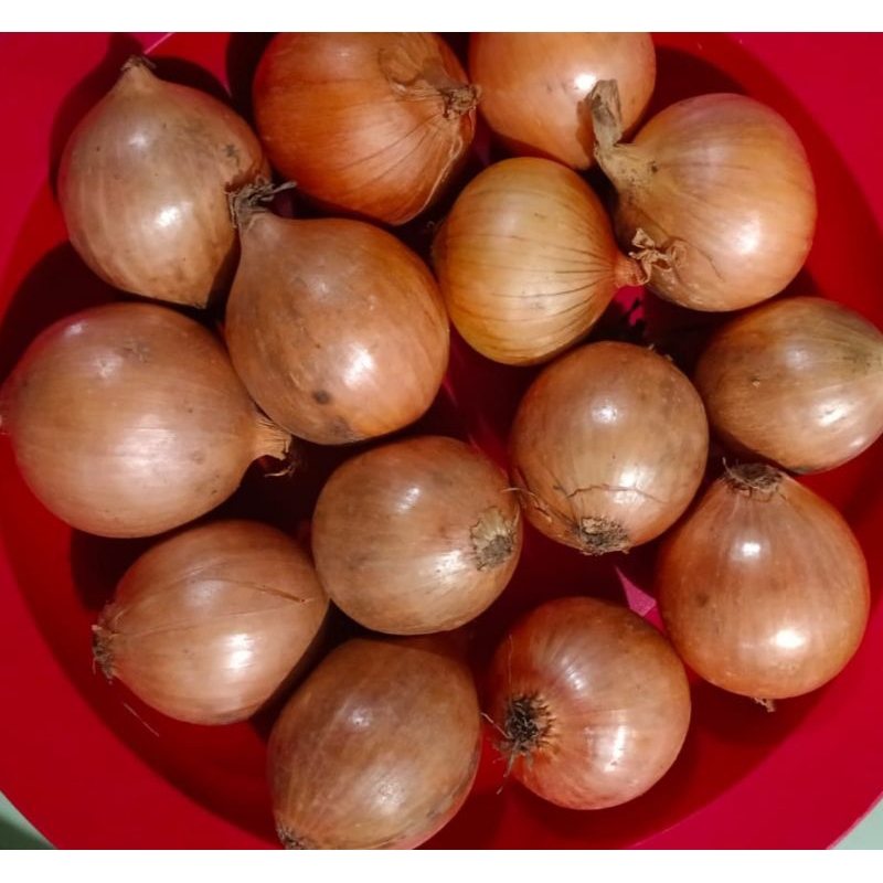 

Bawang Bombay