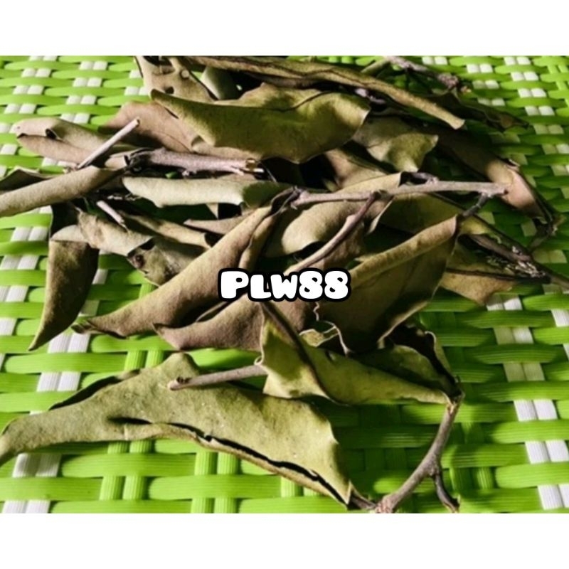 

Benalu kelor kering asli organik 1 kg natural