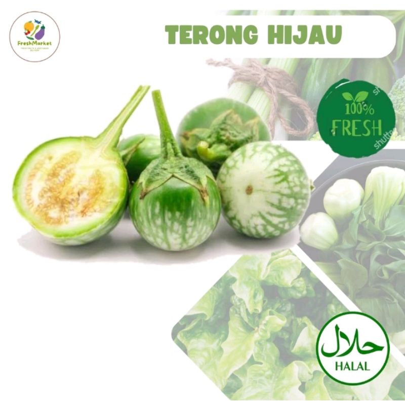 

INSTAN MURAH!!! TERONG LALAP Segar