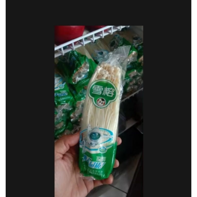 

jamur enoki