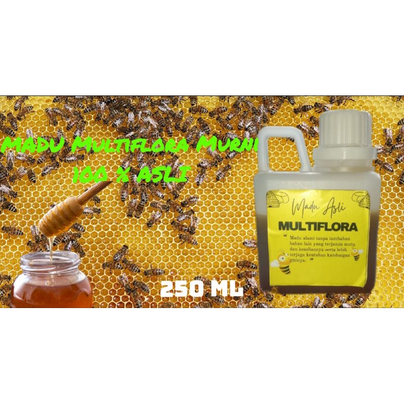 

MADU Perhutani Multiflora Murni 100 % ASLI 250 ml