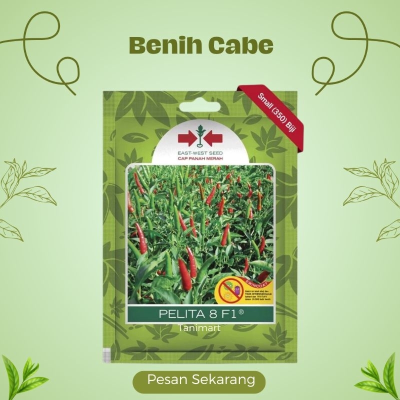 Bibit Benih Cabe Rawit Hijau PELITA 8 F1 Small Pouch (Cap Panah Merah)
