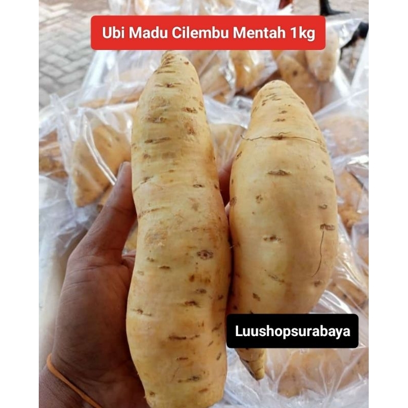 

Ubi Madu Cilembu Mentah 1kg Ubi Cilembu Asli Siap Oven