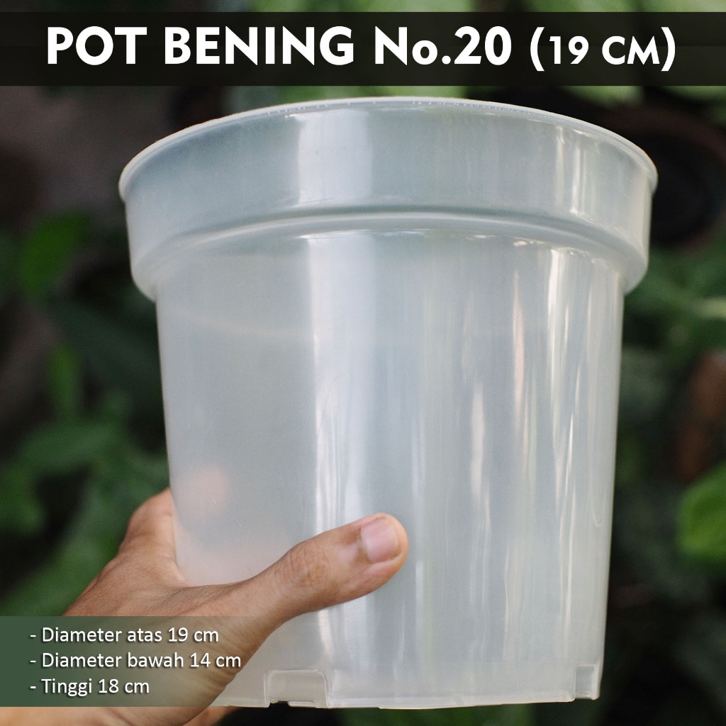 Pot Bening Plastik No.20 (19 cm) - Pot Bening Poros - Pot Bening Transparan - Pot Bening Besar Tingg