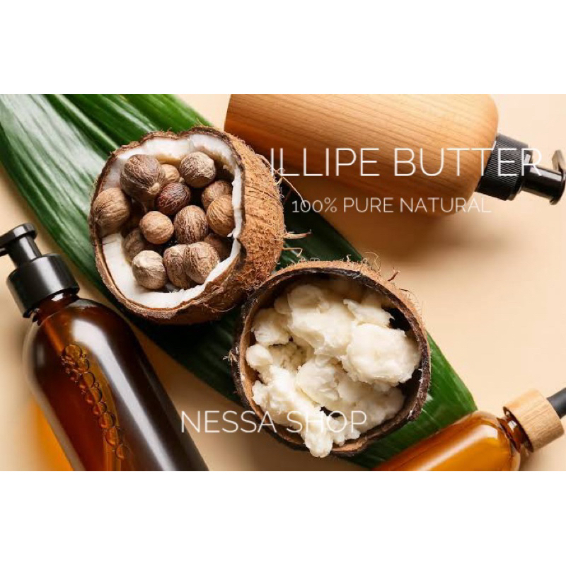 

ORGANIK ILLIPE BUTTER Unrefined/ Refined (MInyak Tengkawang)