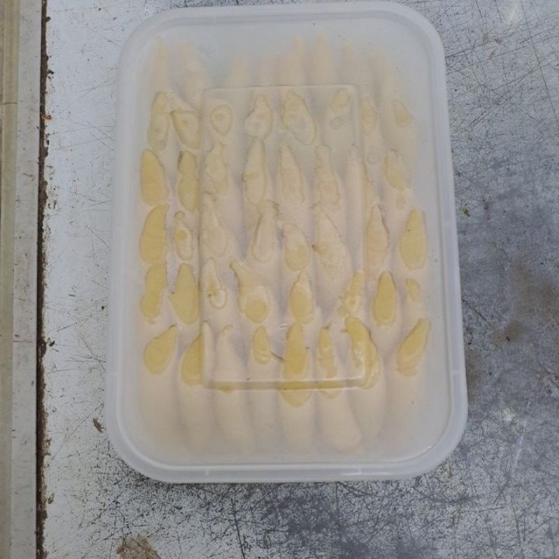 

MOLEN MINI FROZEN BOX ISI 100