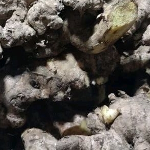 

Jahe besar super segar 500gr