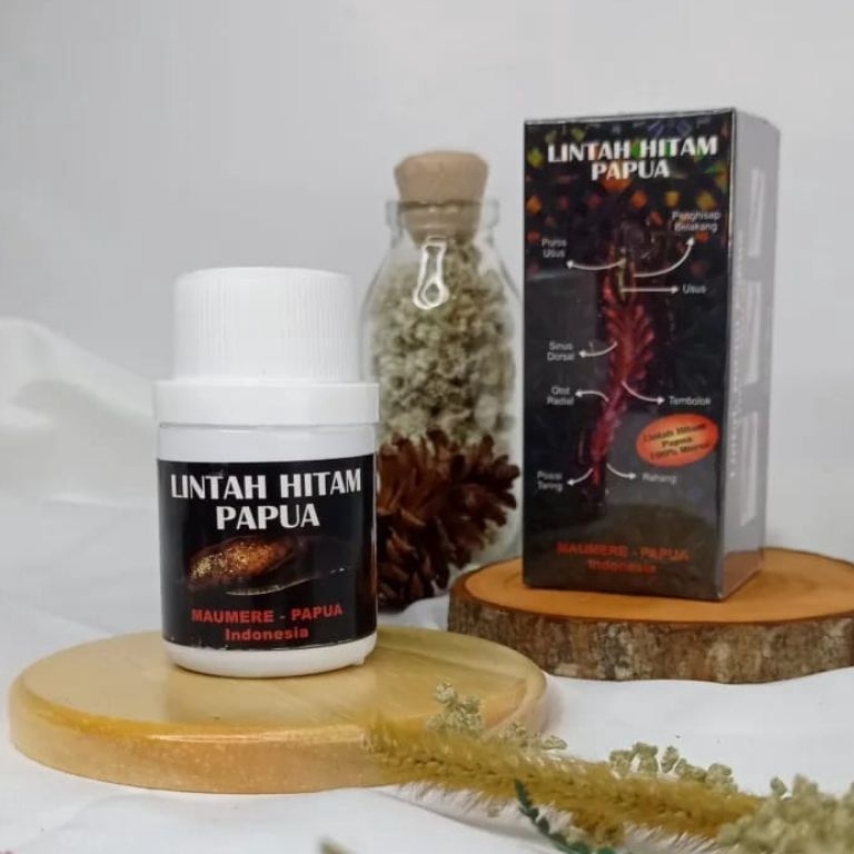 MURAH LEBAY minyak lintah hitam pembesar mr p asli papua indonesia