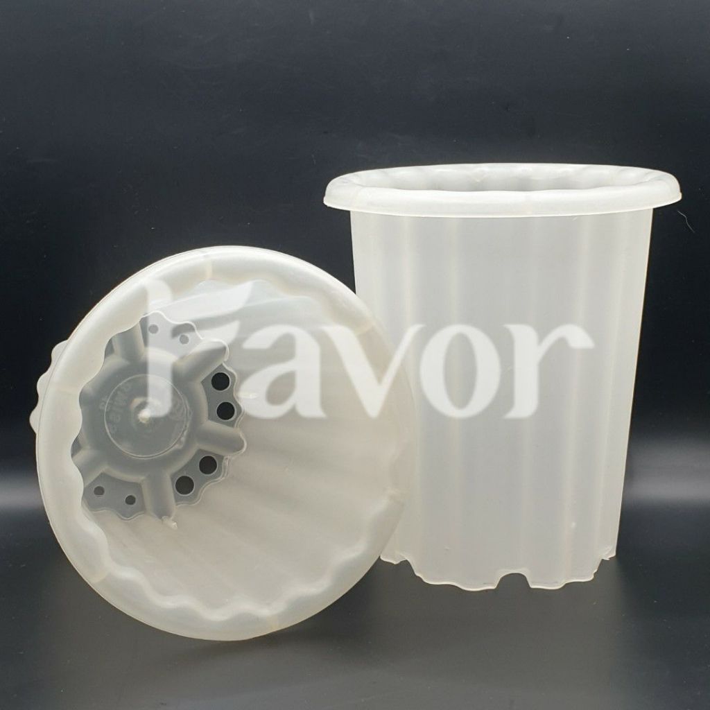 Pot Plastik Estetik Swiss 13 BENING si Tinggi Gelombang Cinta Sanseviera / Sukulen / Kaktus