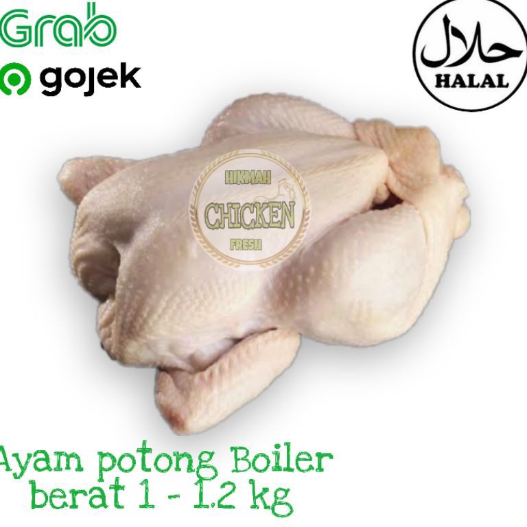 

Swip up Ayam potong boiler karkas fresh segar berkualitas termurah 1 12 kg