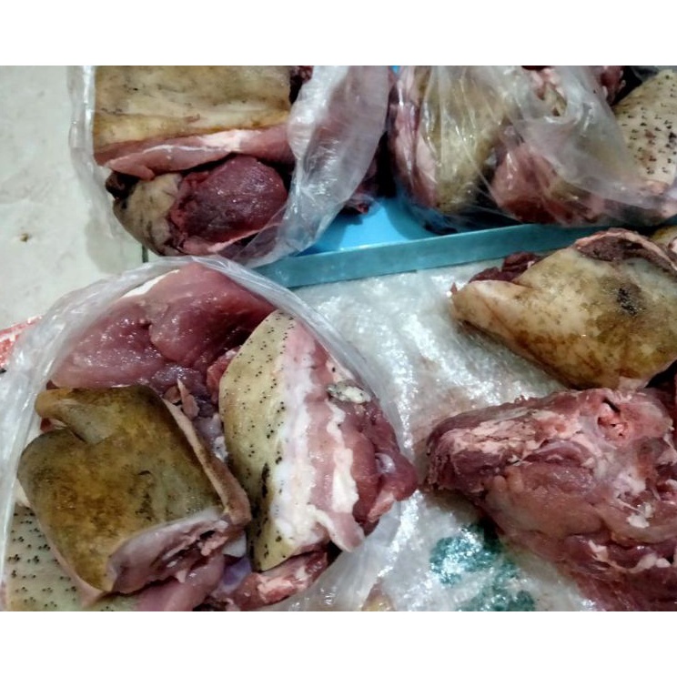 

COD TOKO MEDAN Daging Celeng berkulit tulang