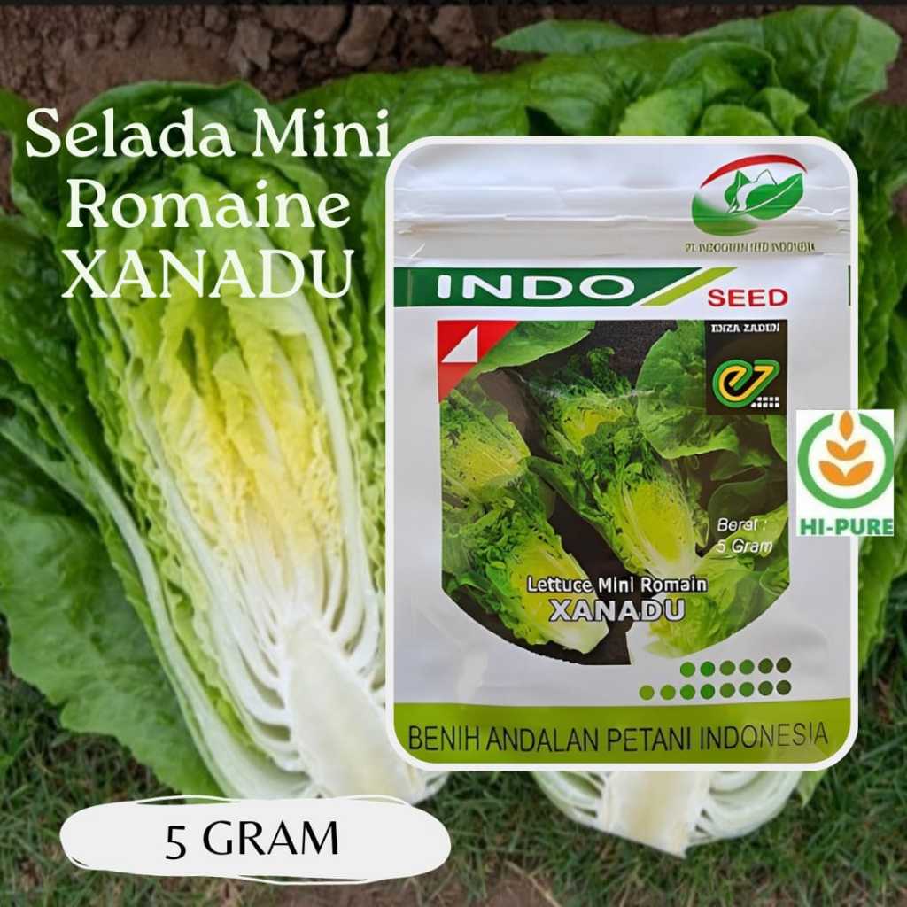 Benih Selada Lettuce Mini Romaine XANADU Isi 5 Gram Indogreen Indoseed Enza Zaden