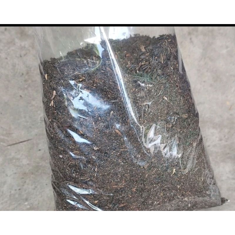 media tanam MBNURSERY siap pakai 5kg