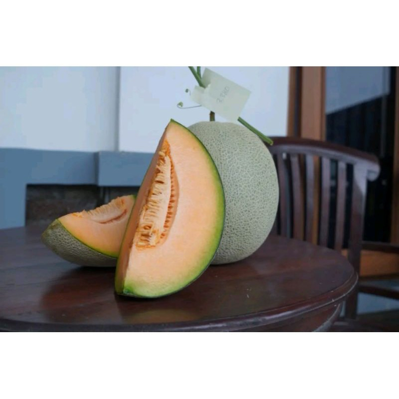 Mokilo43 Benih Melon F1 Delon 65 (+-400Biji)