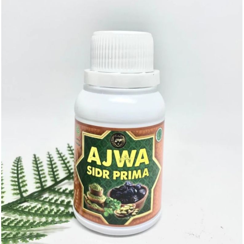 AJWA SIDR PRIMA