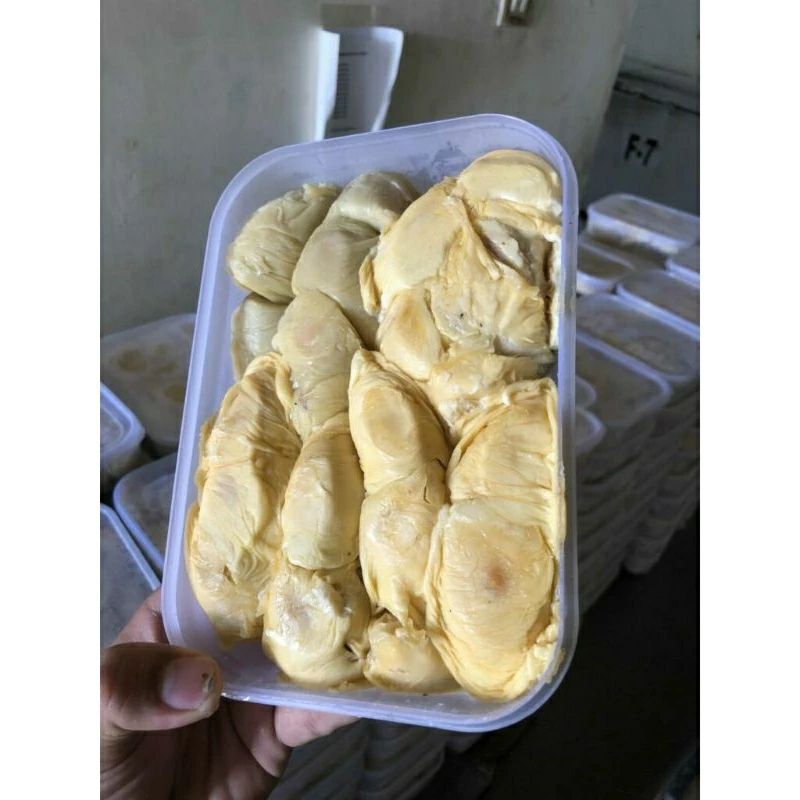 

DURIAN MONTONG PONTIANAK//DURIAN MONTONG PONTIANAK 500GRAM