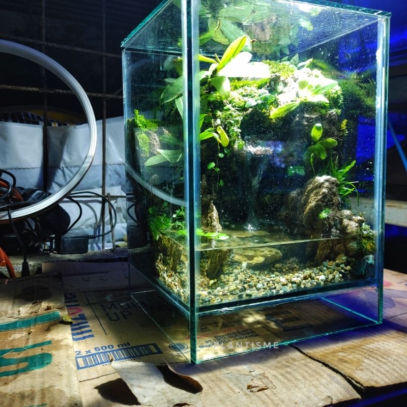 Fullset Paludarium Waterfall 20x20x30