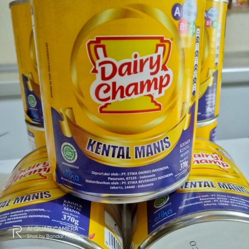 

DAIRY CHAMP CREAMER 370G