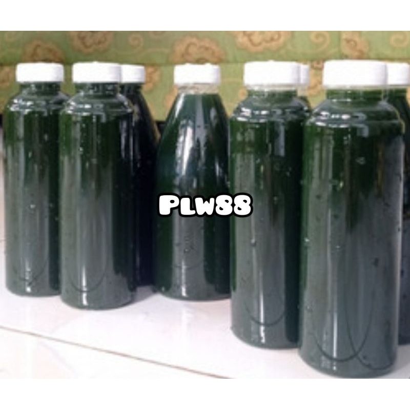 Essen walang sangit esen walang sangit segar 350 ml