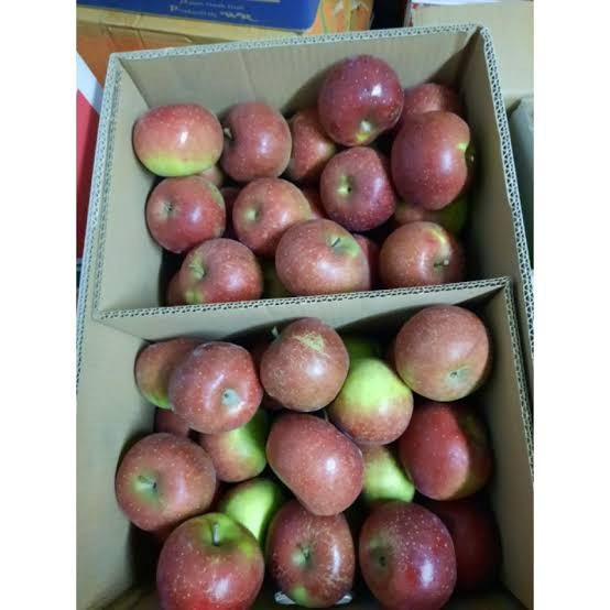 

Apel Malang l Apel Malang Manalagi 1kg l Jbp_Fresh