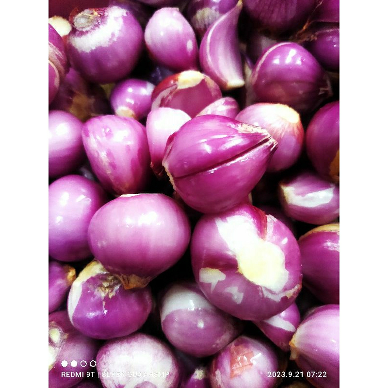 

bawang kupas lokal bali karet termurah 1kg