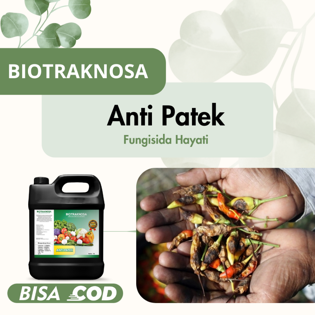 PLANTERMAX Anti Patek Biotraknosa Fungisida Hayati Pembasmi Hama Gulma POC 500ml