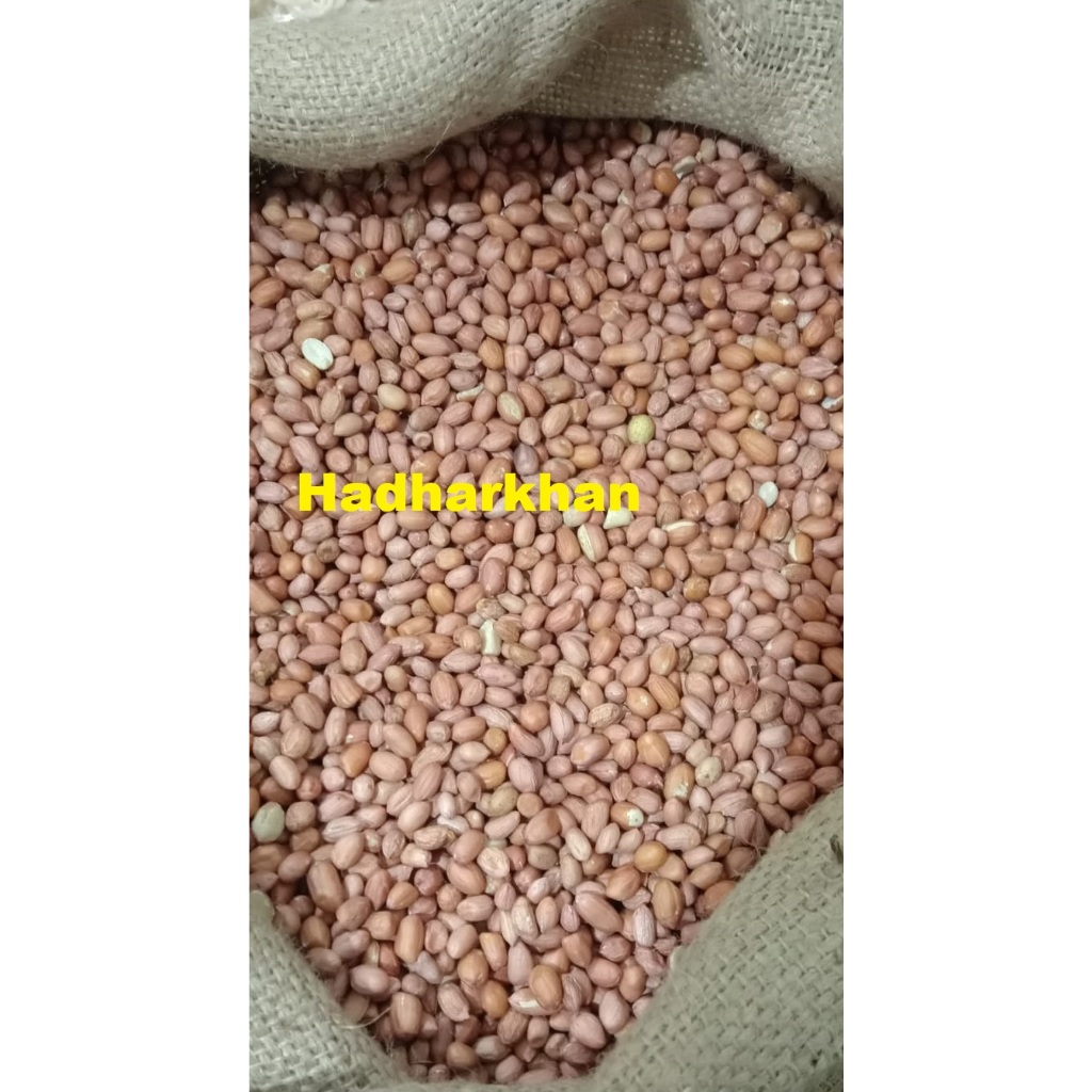 

Kacang Tanah 250 gr / Ground Nut / Kacang Tanah Super Bersih