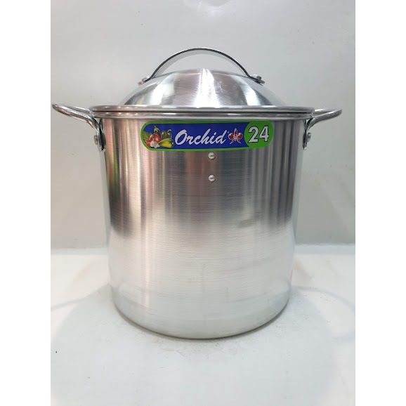 LANGSENG ORCHID (22 CM) I LANGSENG ANGKAT ORCHID I DANDANG ANGKAT